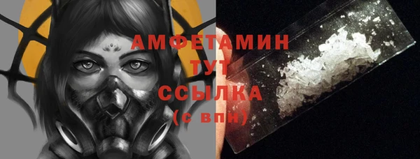 шишки Арсеньев