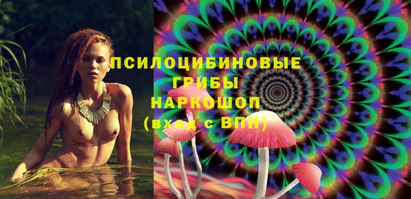 шишки Арсеньев