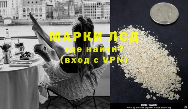 шишки Арсеньев