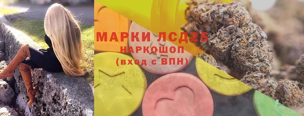 шишки Арсеньев