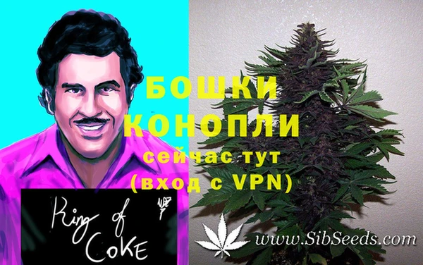 шишки Арсеньев