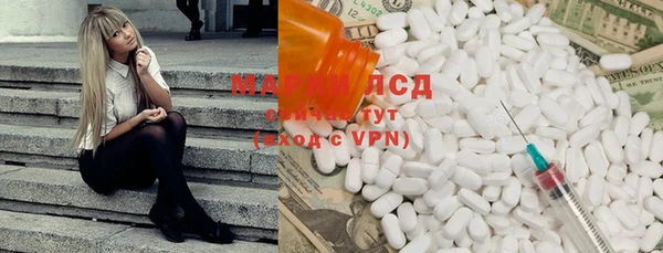 ПСИЛОЦИБИНОВЫЕ ГРИБЫ Армянск