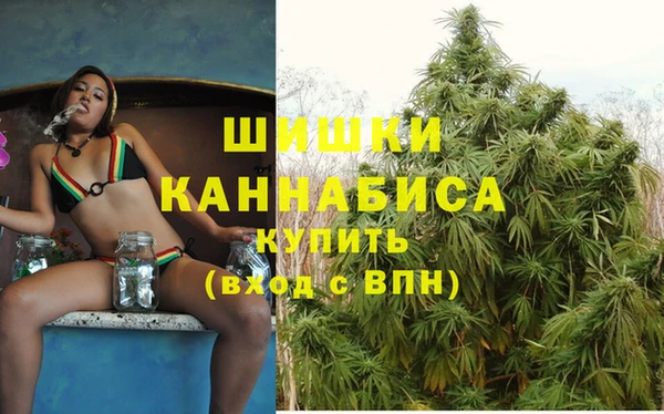ПСИЛОЦИБИНОВЫЕ ГРИБЫ Армянск