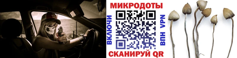 Галлюциногенные грибы мицелий  Усть-Лабинск 